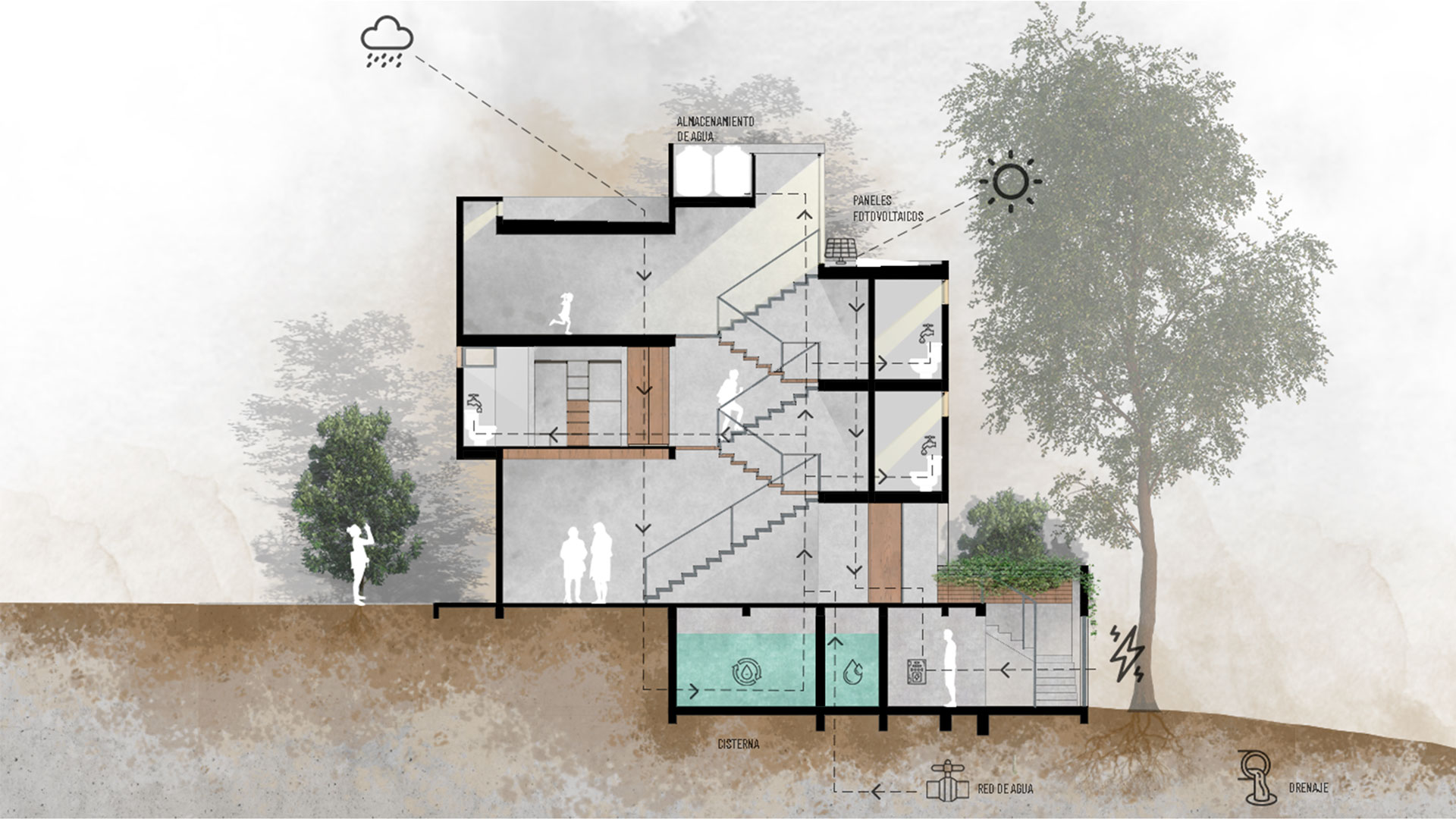 cedro_habitat_diagrama-sust_casa